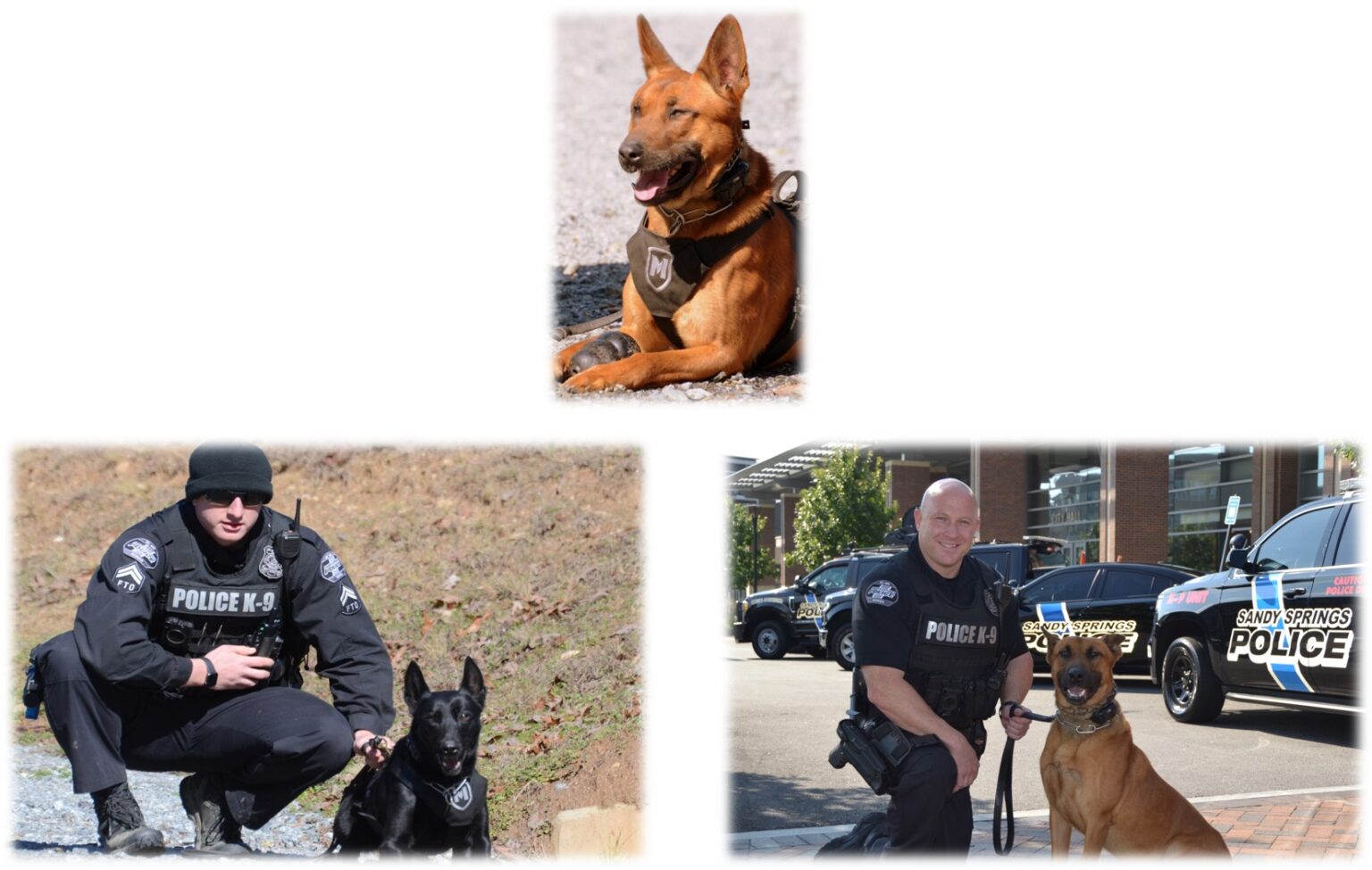 K9 Unit Sandy Springs Police Department